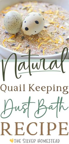 a bowl of oatmeal with two eggs on top and the words natural quail keeping dust bath recipe