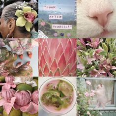 a collage with pink and green flowers, an animal's face, and other images