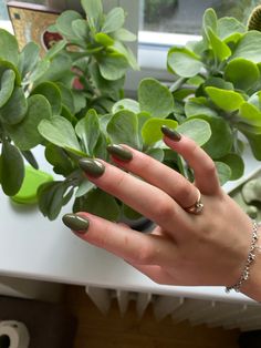 Nails, green nails, sage nails, nails inspo,cute nails, nails desing Nails Inspo Cute, Nails Sage Green, Sage Nails, Sage Green Nails, Nails Green, Nails Desing, Nails Short, Nails Inspo, Green Nails