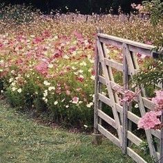 a wooden gate in the middle of a flower garden filled with pink and white flowers