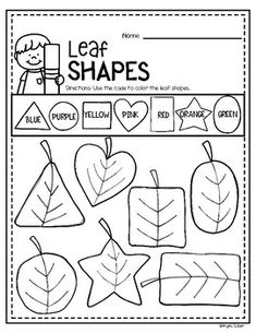 leaf shapes worksheet for kids to practice their handwriting and writing skills on the leaves