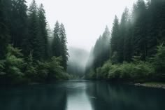 a body of water surrounded by trees on a foggy day in the middle of a forest