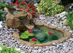 a small pond with water lilies and rocks in the middle is surrounded by flowers