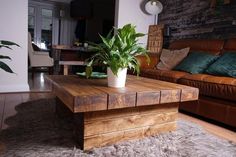 a living room with a couch, coffee table and potted plant on top of it