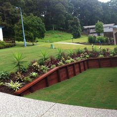 a large yard with lots of plants in it