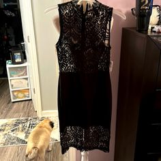 Black Lace Dress By Windsor Nwt Elegant Black Bodycon Dress, Black Lace Bodycon Dress For Spring, Dressy Black Lace Mini Dress, Chic Black Lace Bodycon Dress, Spring Black Lace Bodycon Dress, Black Sleeveless Lace Midi Dress, Forever 21 Black Lace Dress, Windsor Dresses, Black Lace Dress