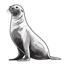 the seal is sitting down and looking up at something in the distance, with its mouth open