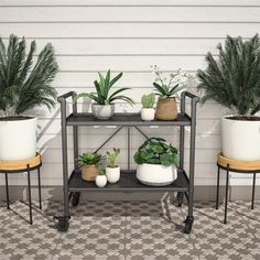 three potted plants sitting on top of a metal shelf