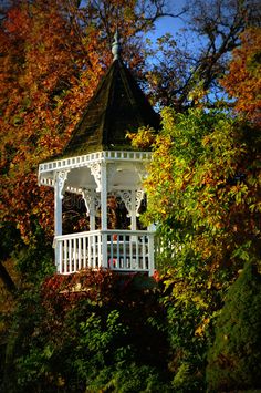 a white gazebo surrounded by trees in the fall