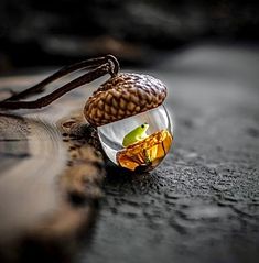 an apple in a glass bowl on a wooden table with a snake's head hanging from it