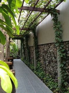 the walkway is lined with green plants and stone walls, along with benches on either side