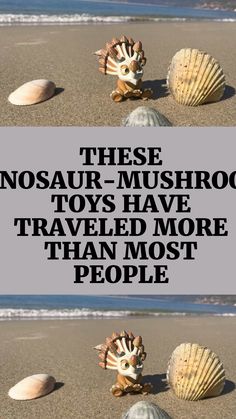 three seashells on the beach with text that reads these dinosaur - mushroom toys have traveled more than most people