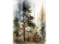 watercolor painting of trees in the woods