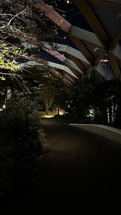 the walkway is lit up at night with lights shining on it and trees in the foreground