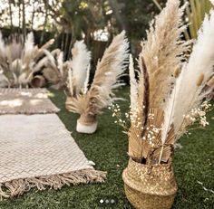 some plants and rugs on the grass