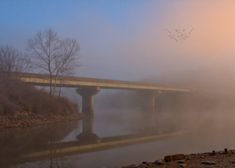 a bridge over a body of water with birds flying in the air and fog on the ground