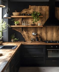 a kitchen with black cabinets and wooden shelves filled with potted plants on top of them