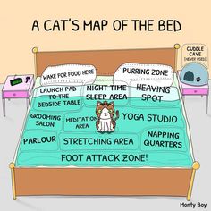 a cat's map of the bed with instructions on how to sleep in it