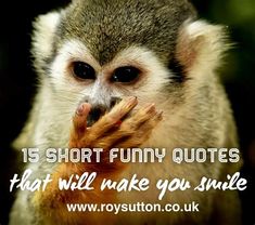 a squirrel eating something with the caption 15 short funny quotes that will make you smile