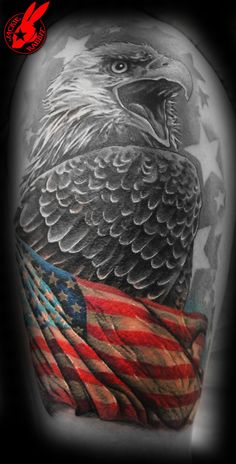 an eagle with the american flag on his arm