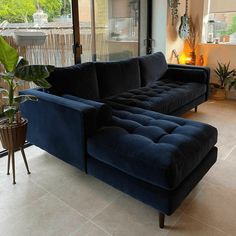 a large blue couch sitting in front of a window next to a potted plant