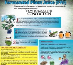 a poster describing how to make the fermented plant juice ppp