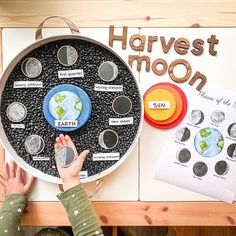 a child's hands reaching for coins in front of a money tray with the words harvest moon on it