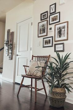 a living room with pictures on the wall and a chair in front of a potted plant