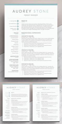 the professional resume template is ready to be used for any job or other type of work