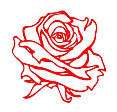 a drawing of a red rose on a white background