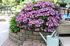 purple flowers are growing out of a brick planter in front of a patio table