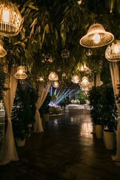 an outdoor event with hanging lights and potted plants on either side of the walkway