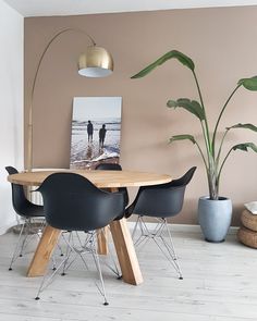 a dining room table with four chairs and a plant in the corner next to it