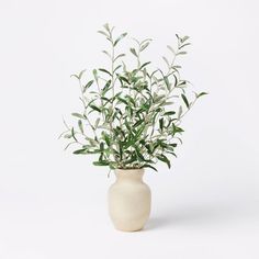 a white vase filled with green plants on top of a table