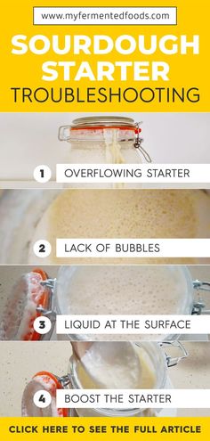 the steps to make sourdough starter troubleshooting