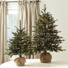 two small christmas trees sitting on top of a table next to each other in front of a window