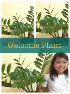 a girl standing next to a potted plant with the words welcome plant on it