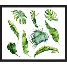 watercolor set of tropical leaves and plants on white background, hand drawn illustration stock photo