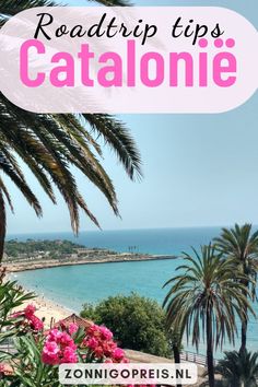 palm trees and the ocean with text overlay reading roadtrip tips catalonie