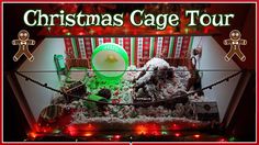 the christmas cage tour is set up in front of a red and green background with gingerbread men