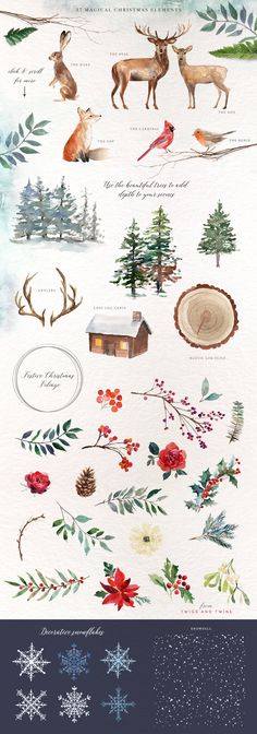 watercolor illustrations of christmas trees, snowflakes and deers in the woods