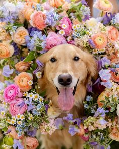 a dog with its tongue out surrounded by flowers