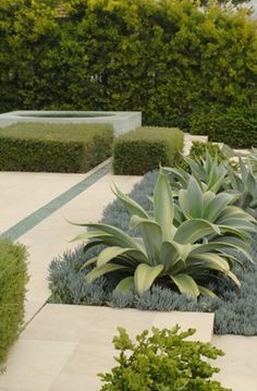 an outdoor garden with various plants and shrubs