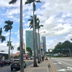 palm trees line the street in front of tall buildings