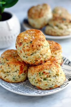 several biscuits stacked on top of each other on a white and black plate with green plants in the background