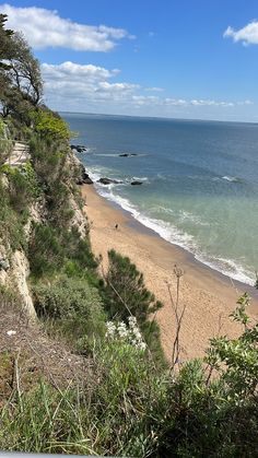 the beach is next to some trees and water