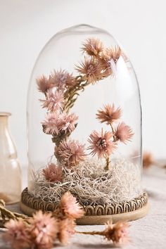 a glass dome with pink flowers under it on a table next to some dried plants