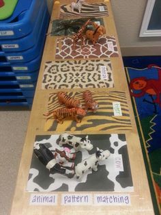 animal pattern matching on a long table with blue bins