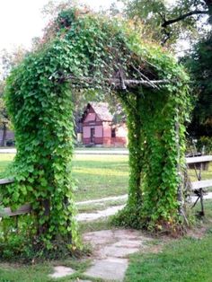 an arch covered in vines next to a picnic table and bench on a grassy field