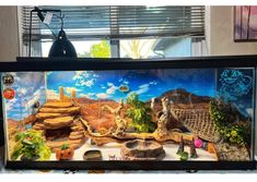 a fish tank filled with lots of different types of plants and rocks in front of a window